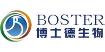 武漢博士德生物工程有限公司